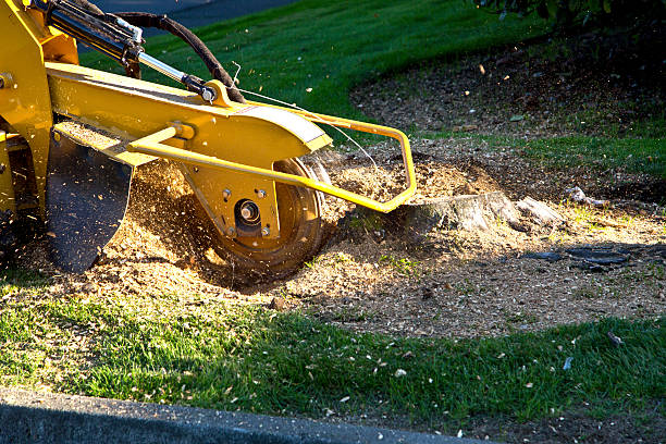 Artificial Turf Installation in Southfield, MI